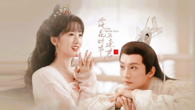 Love Never Fails/ 落花时节又逢君